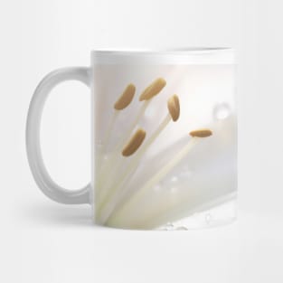 Lilium Flower Petal Nature Serene Calm Mug